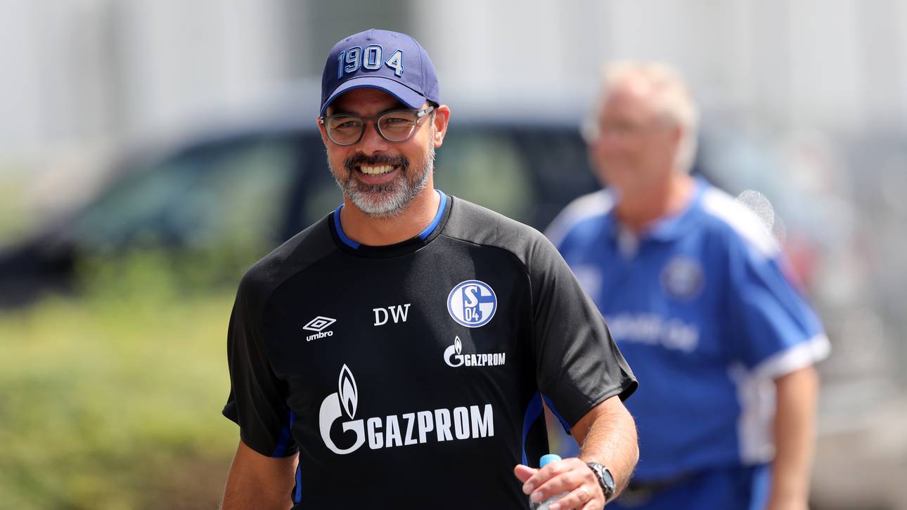 Wagners Schalke müht sich zum Sieg