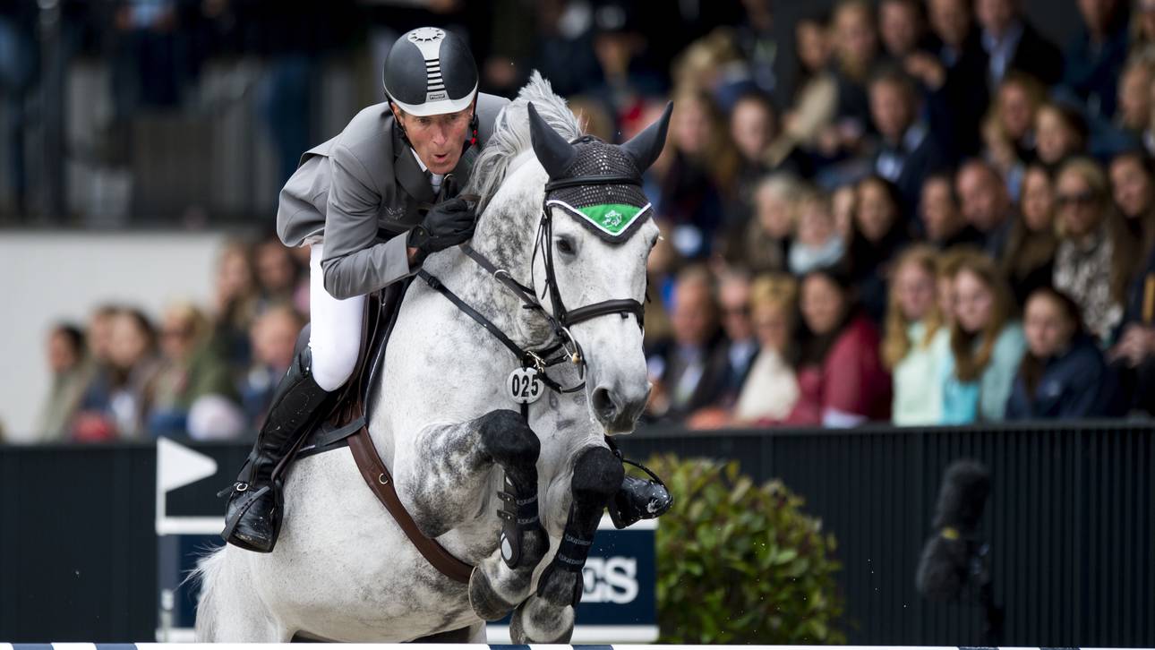 Springpferde bestehen Vet-Check