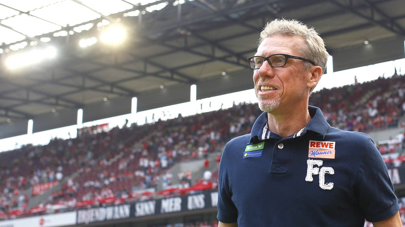 Stöger soll der Wenger von Köln werden