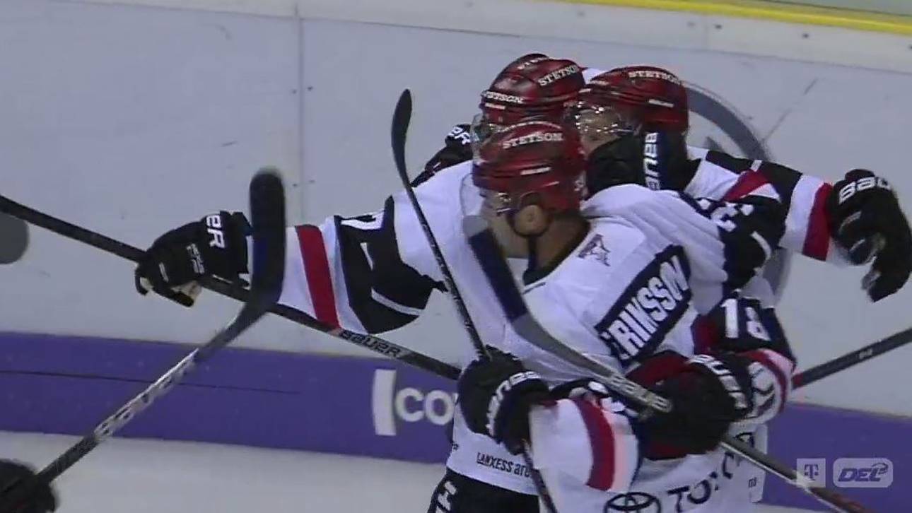 Haie ringen Grizzlys nieder