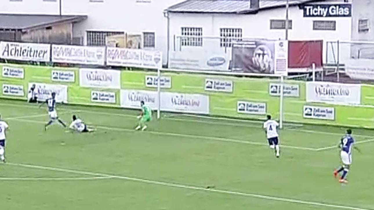 Schalke gewinnt gegen Florenz