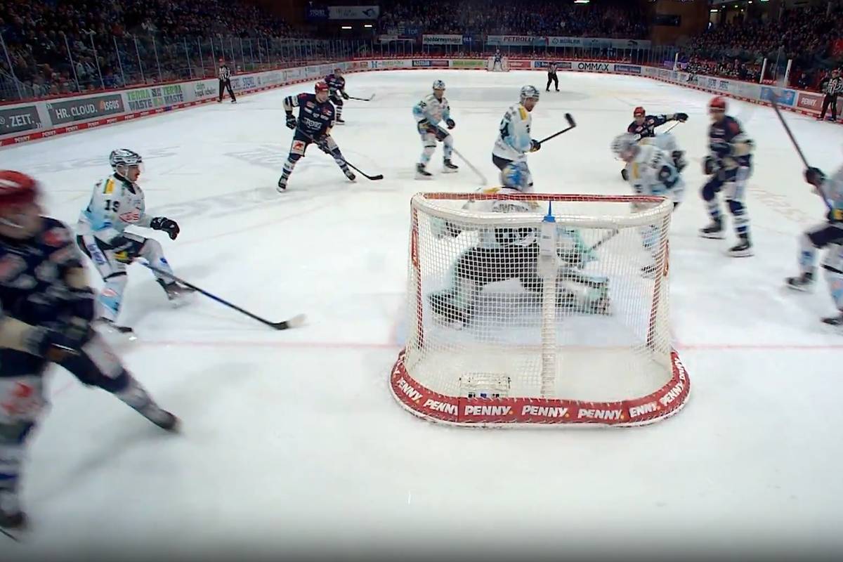 Schwenninger Wild Wings - Dresdner Eislöwen (Highlights)