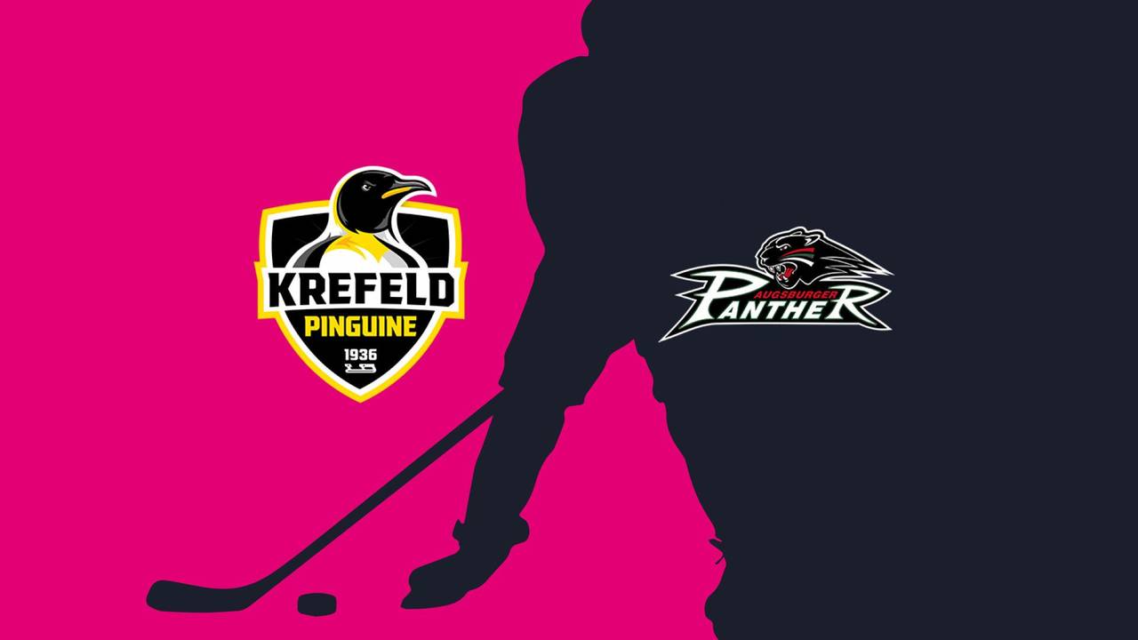 Krefeld Pinguine - Augsburger Panther: Tore und Highlights | PENNY DEL