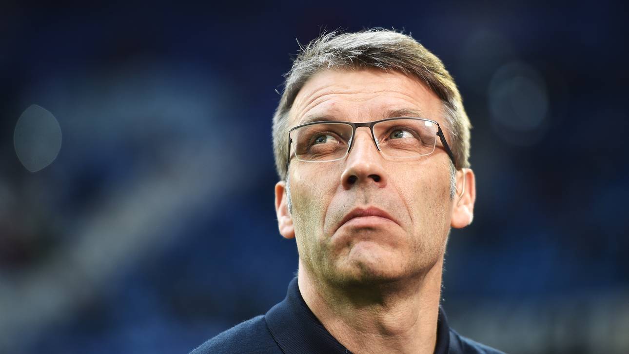 Die Widersprüche der HSV-Posse