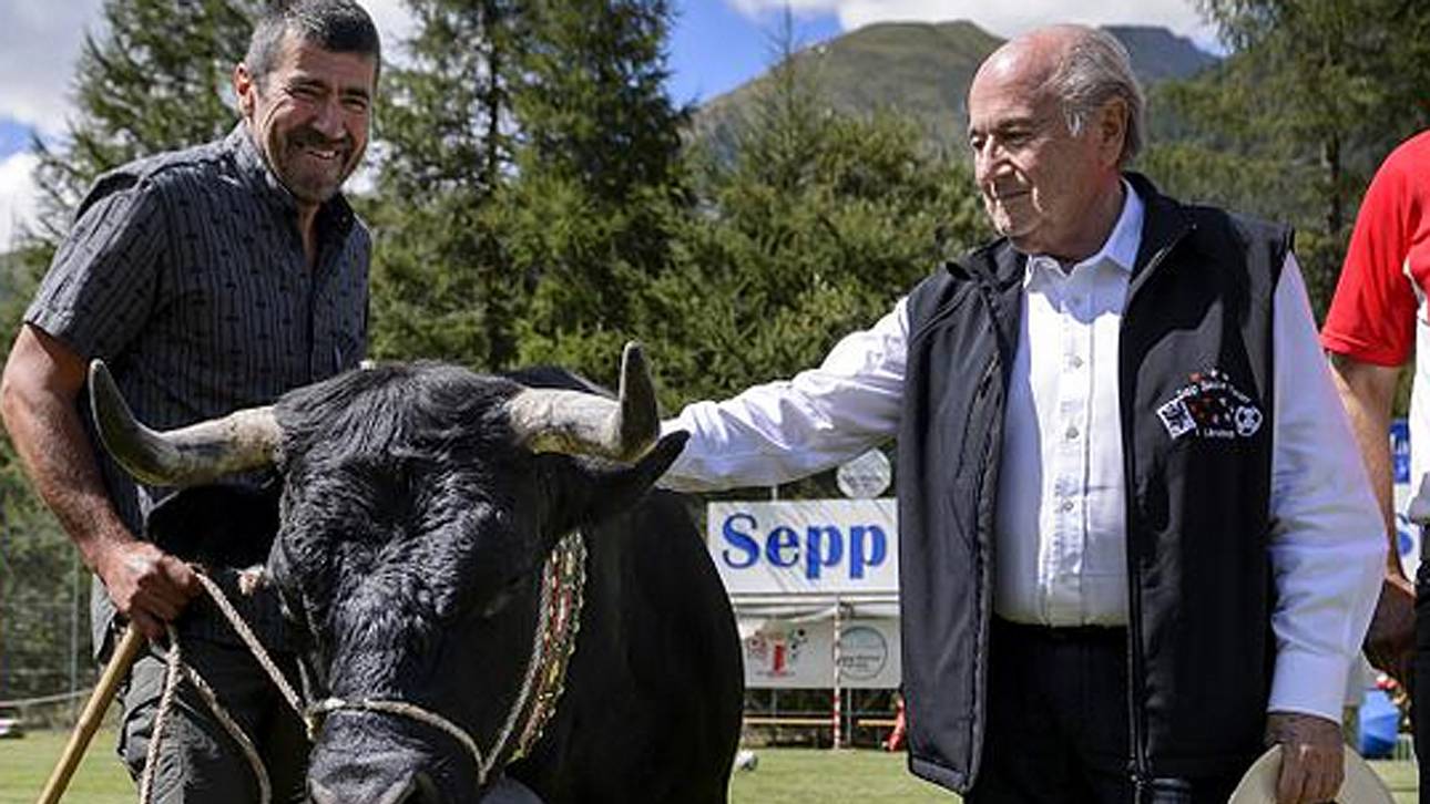 Blatter bekommt Kuh geschenkt