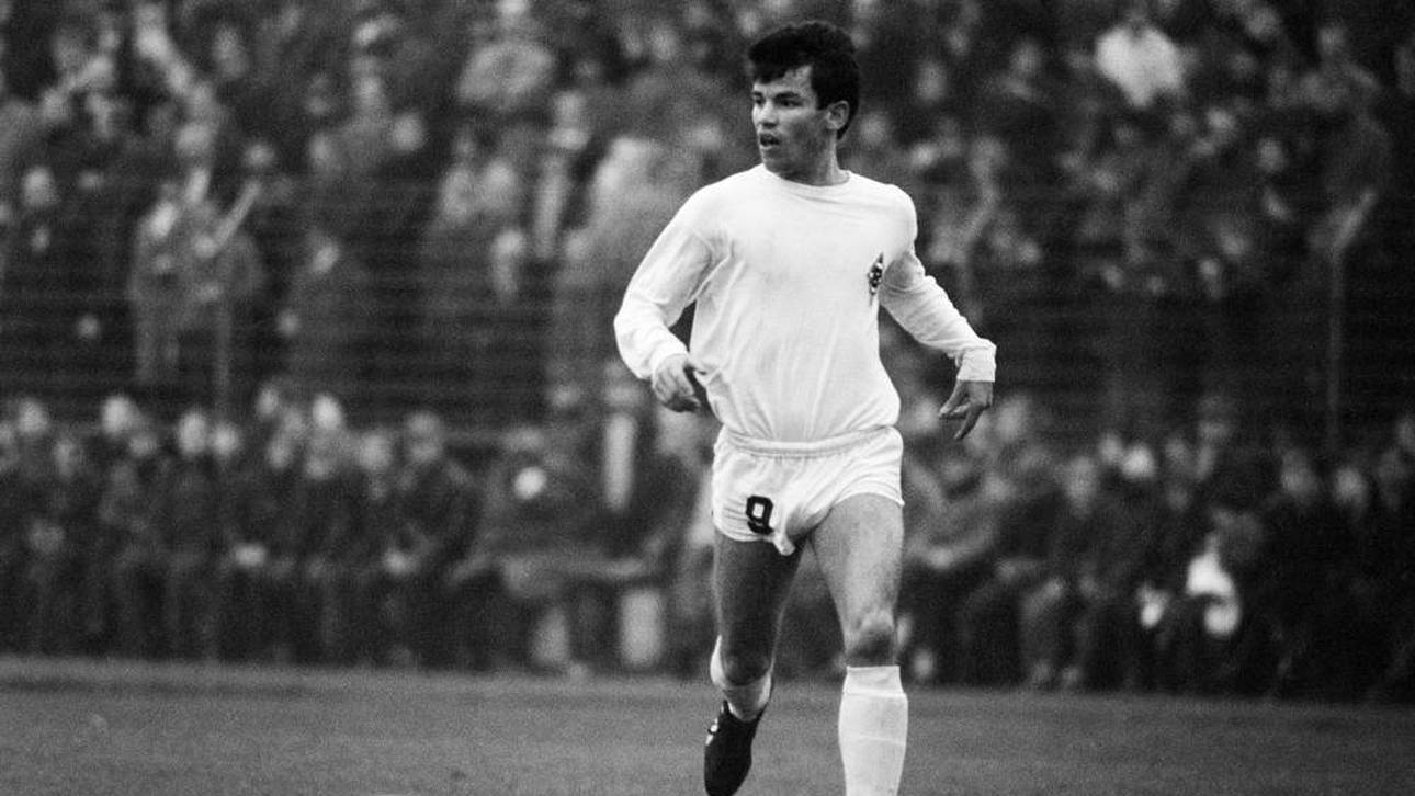 Trauer um historischen Fohlen-Akteur