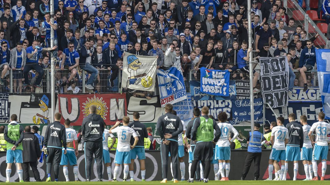 Schalke zerpflückt sich selbst
