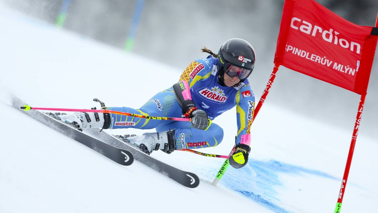 Riesenslalom: Hector knapp vor Rast