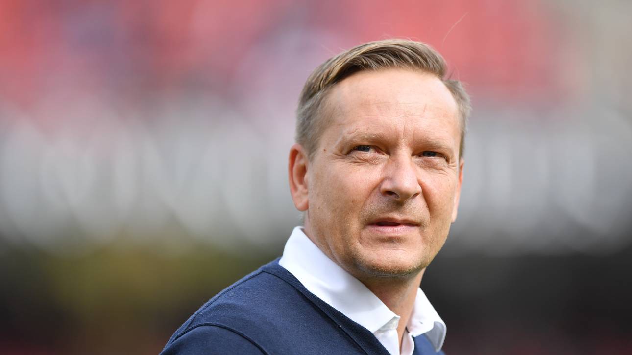 Heldt: „Nicht mehr zu ertragen“