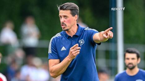 Der ehemalige Nationalspieler Sandro Wagner bekommt seinen ersten Job als Cheftrainer. Er übernimmt bei der SpVgg Unterhaching.