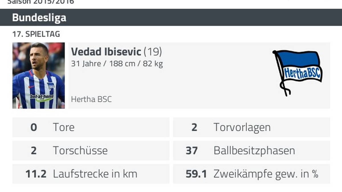 Statistik Vedad Ibisevic