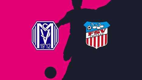 SV Meppen - FSV Zwickau: Tore und Highlights | 3. Liga