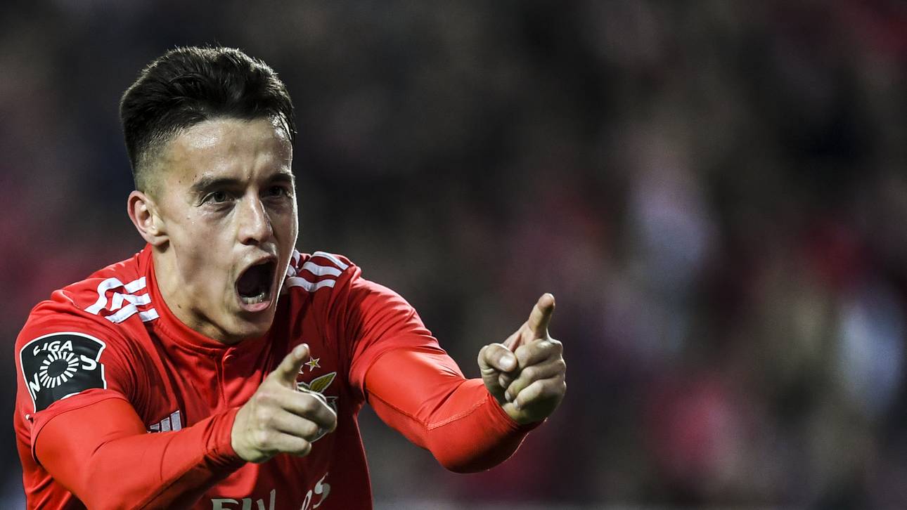 Benfica klärt Trainerfrage