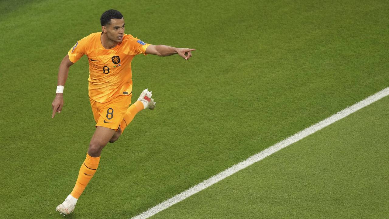 Cody Gakpo leitet Sieg der Niederlande gegen den Senegal ein