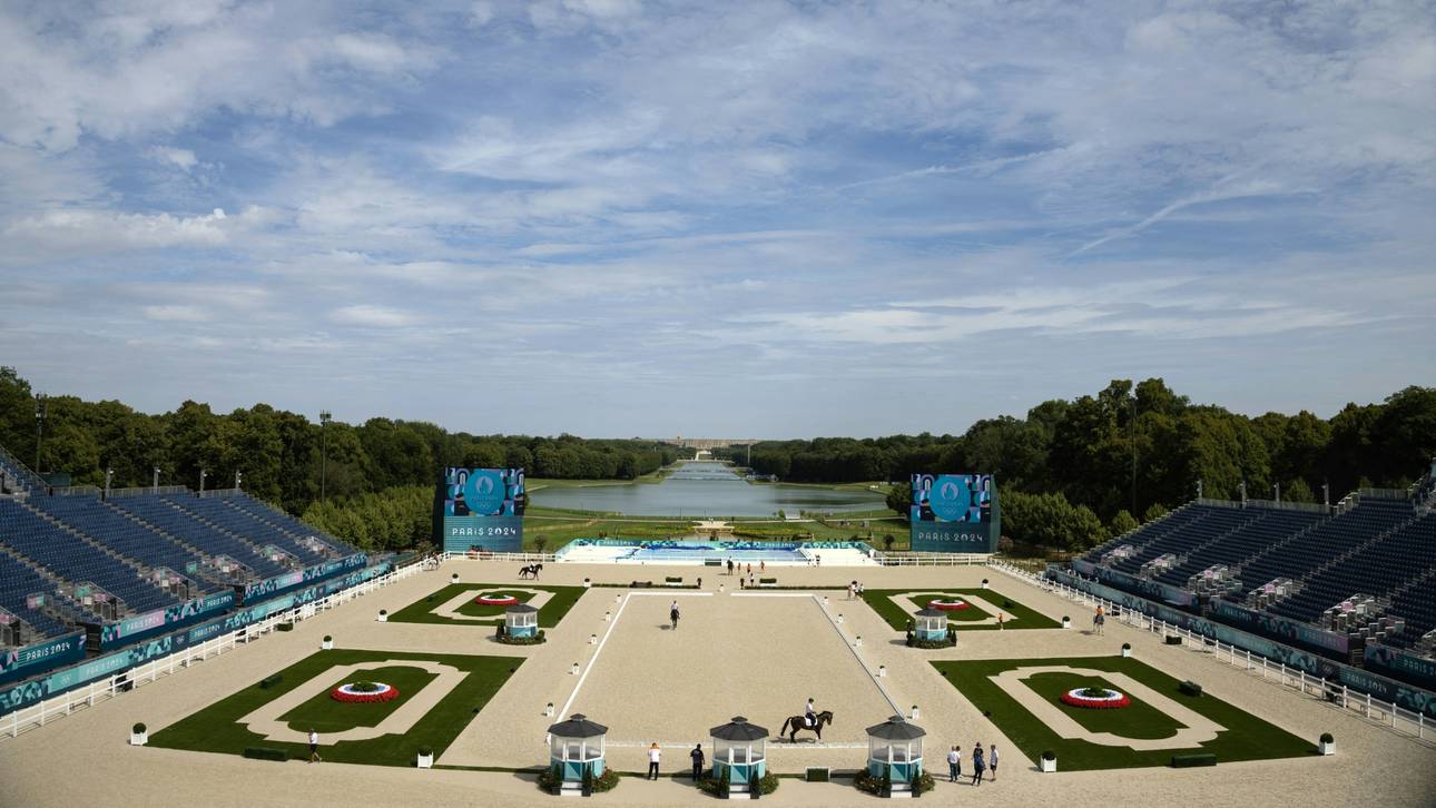 Guter deutscher Dressur-Start