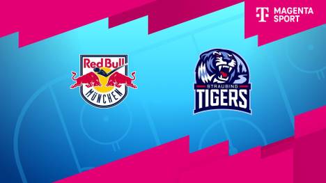 EHC Red Bull München - Straubing Tigers: Tore und Highlights | PENNY DEL