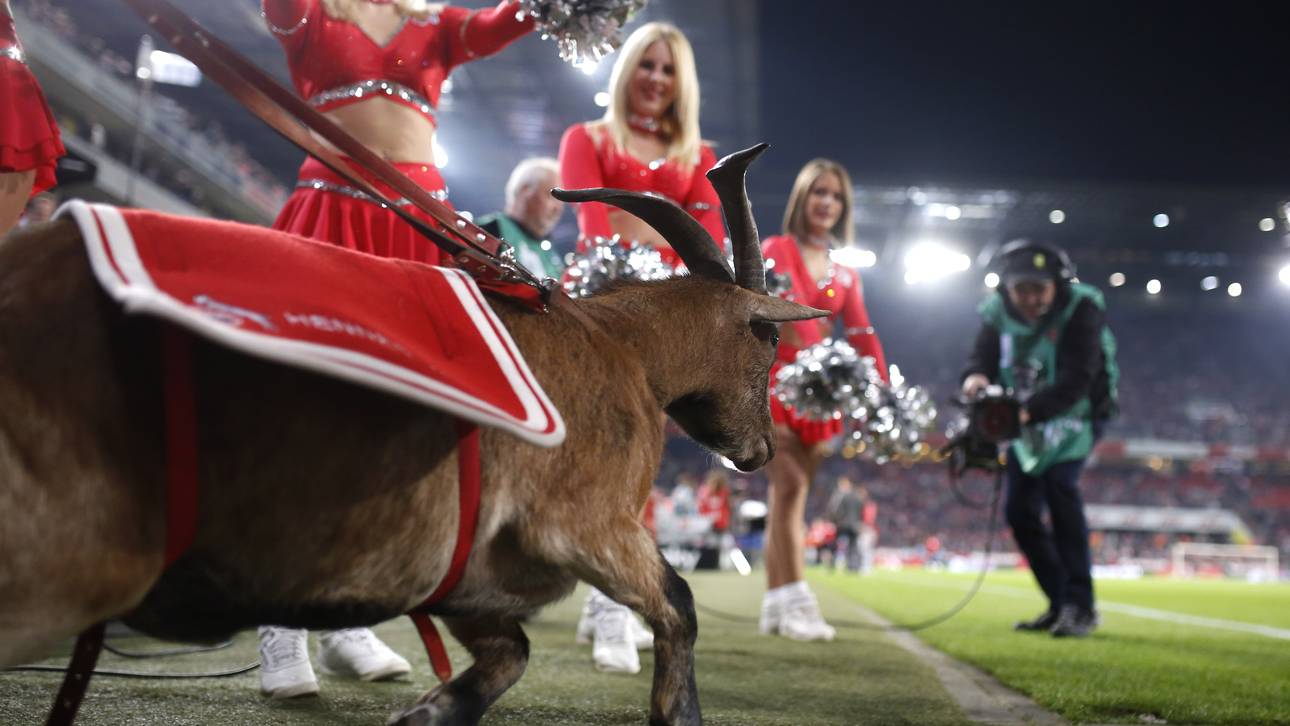 Irre: Hennes soll FC-Spieler werden