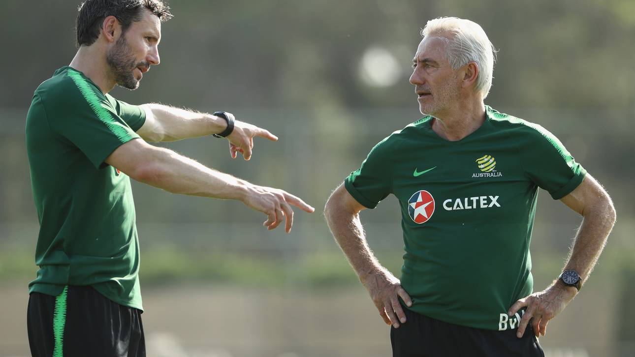 Bert van Marwijk verbindet Arbeit und Familie: Co-Trainer Mark van Bommel ist sein Schwiegersohn