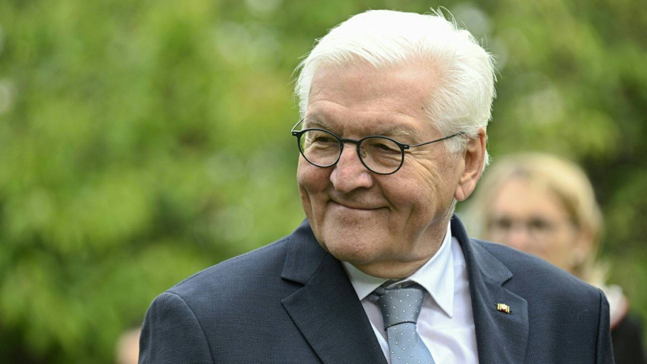 Steinmeier drückt DHB-Team die Daumen