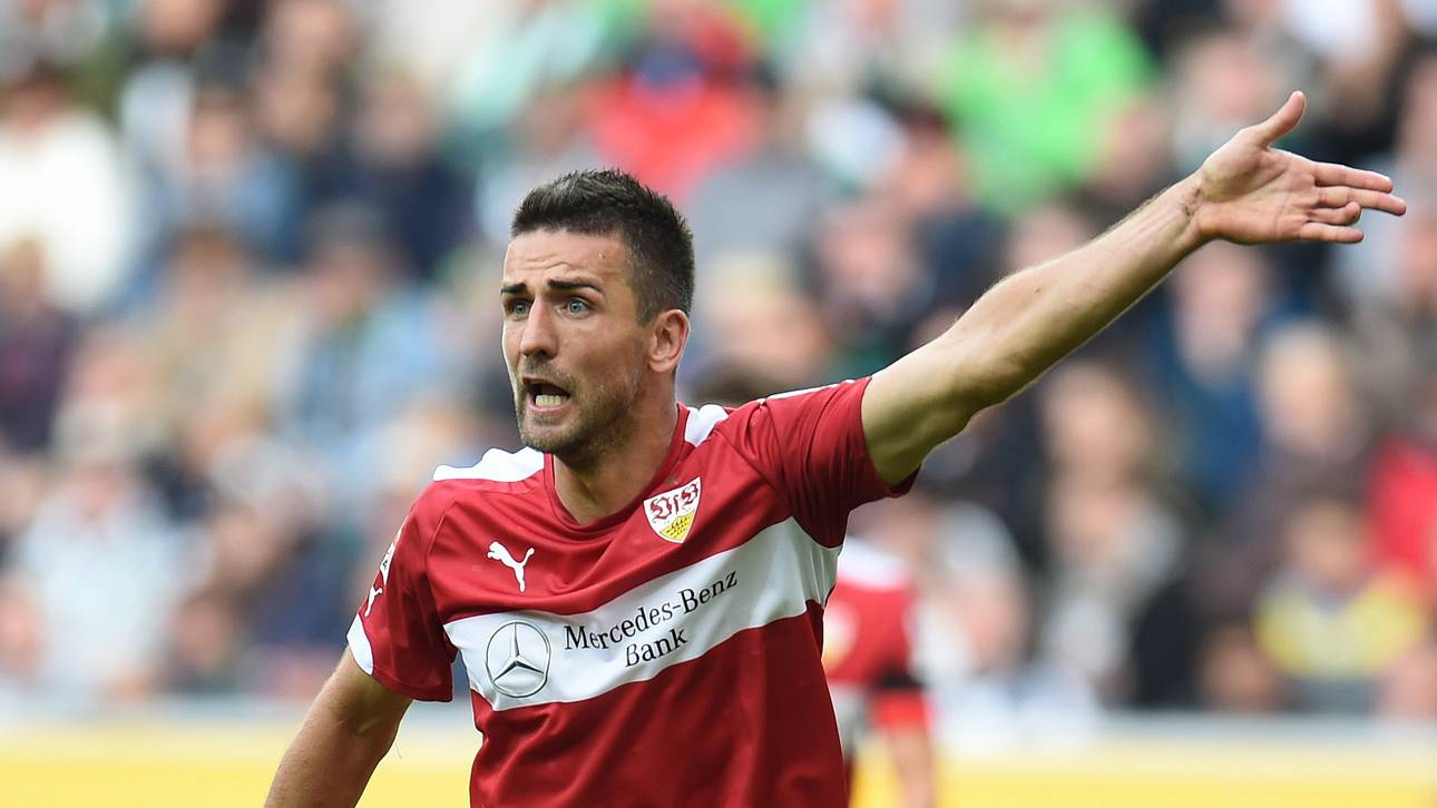 Vedad Ibisevic