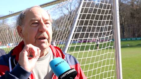 Fährt Said El Mala mit zur WM und bekommt er unter Julian Nagelsmann eine echte Chnace? Die Kölner Fans haben dazu eine klare Haltung.