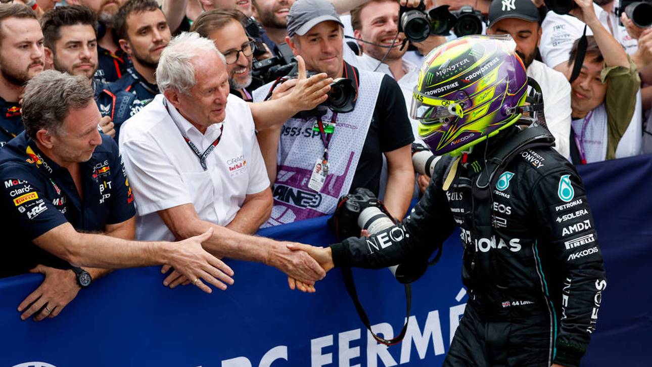 „Man muss Hamilton verstehen“