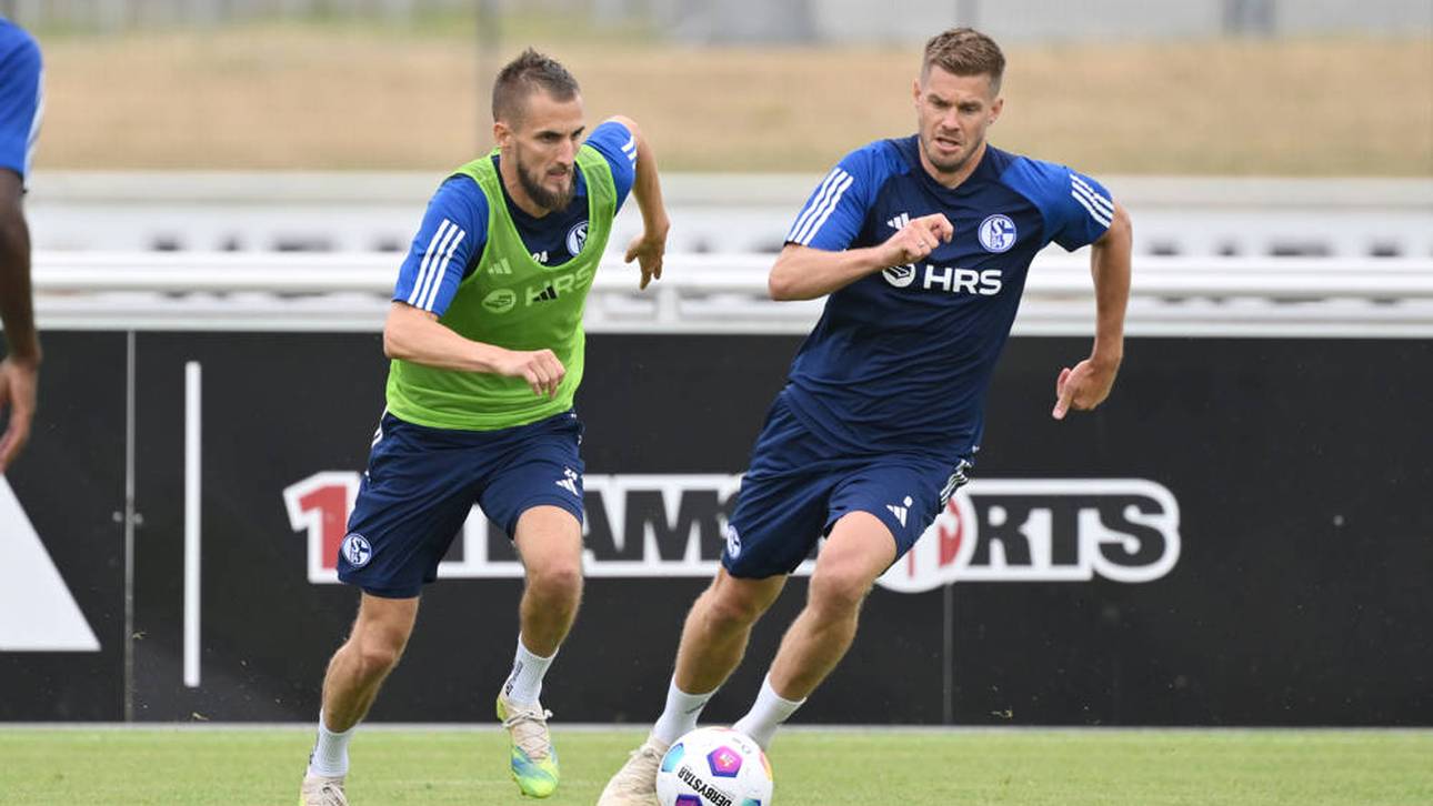 Schalke-Kapitän? Ein Favoriten-Duo