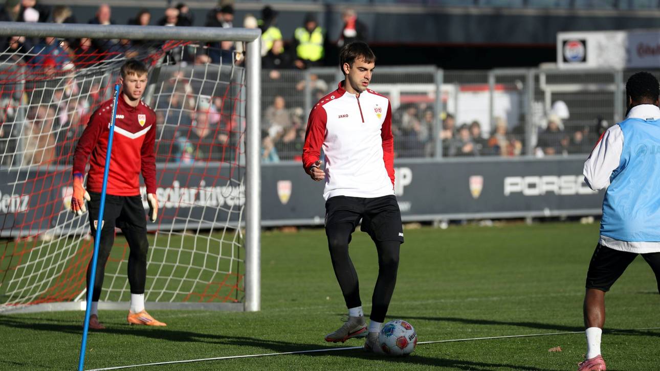 Werder holt Milosevic aus Stuttgart