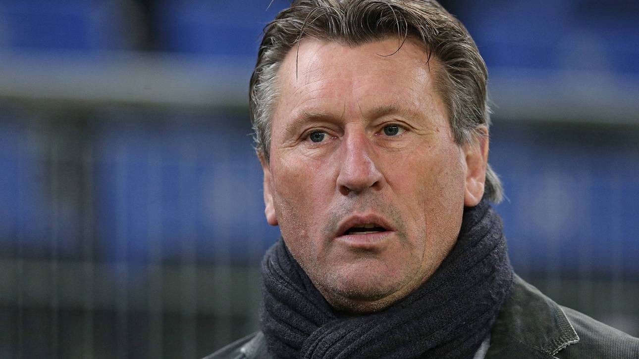 Kaltz warnt HSV vor Euphorie