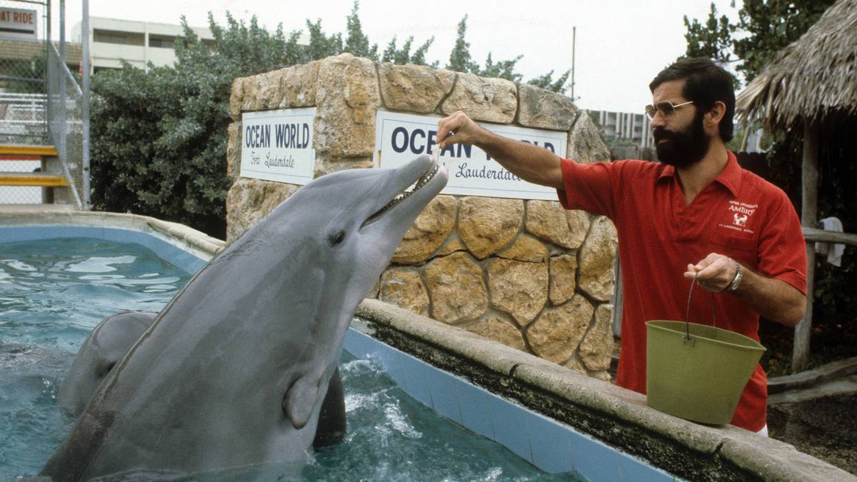 ...mal mit den ortsansässigen Delfinen...