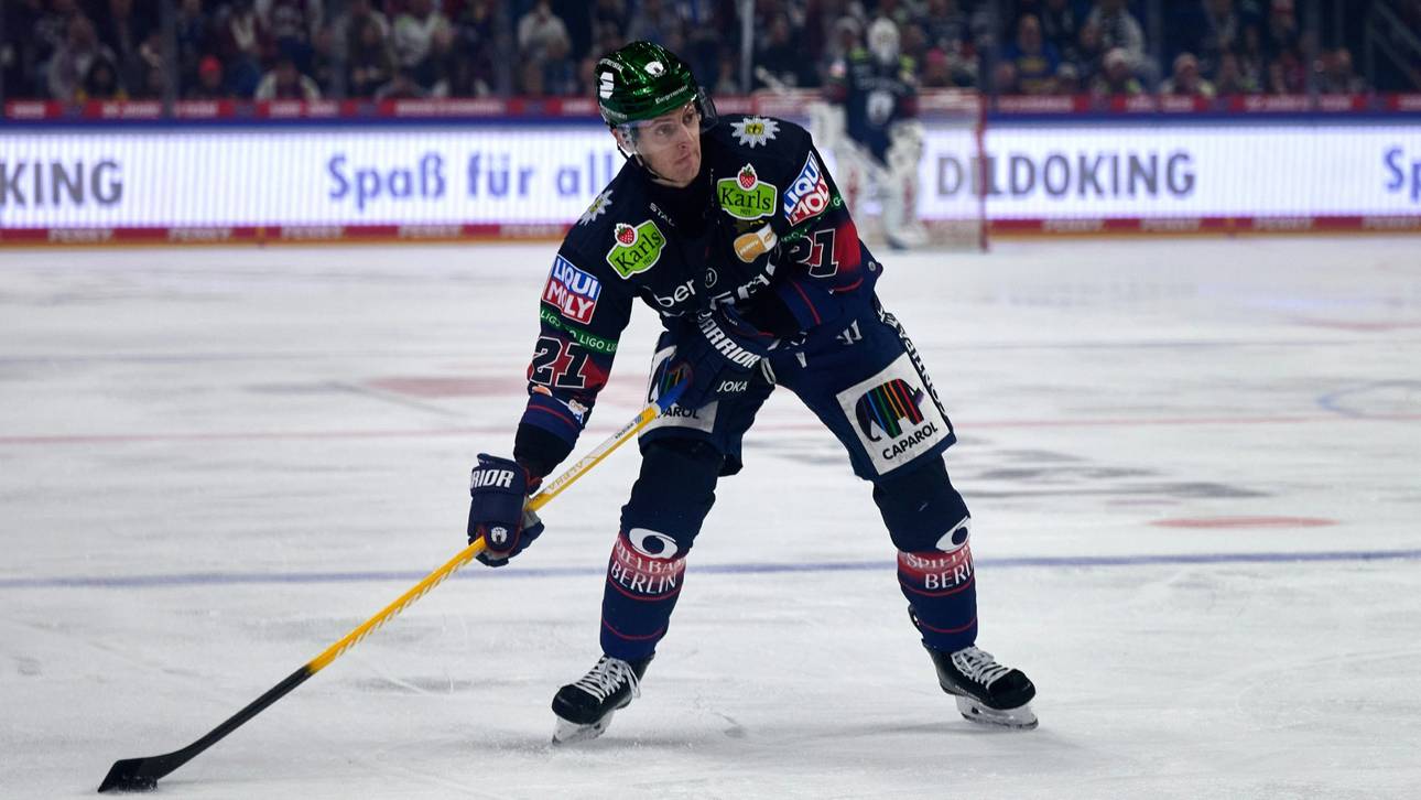 Duo fehlt den Eisbären