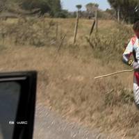 Unglaublich! Aus Ast wird Scheibenwischer - Rovenperä siegt in Kenia