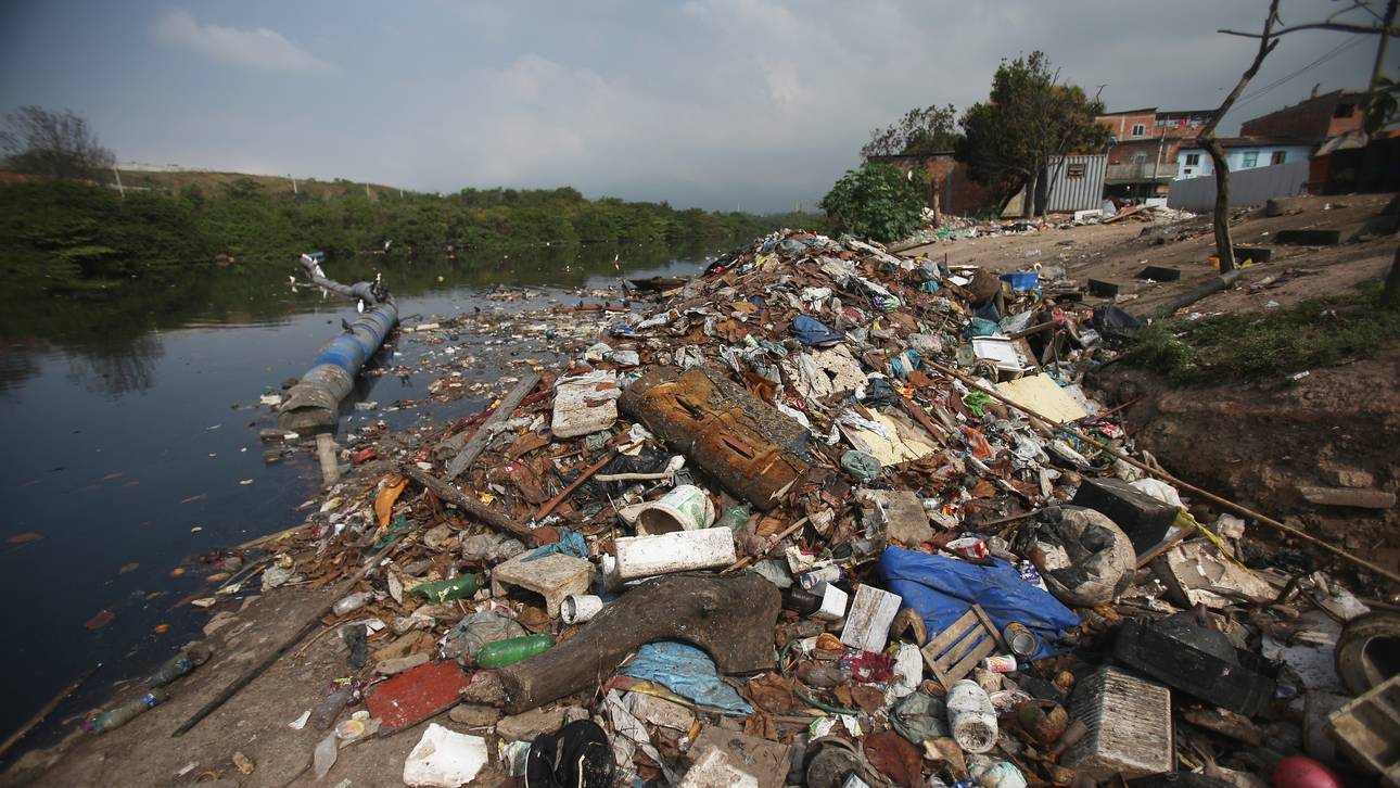 Tausende tote Fische vor Rio