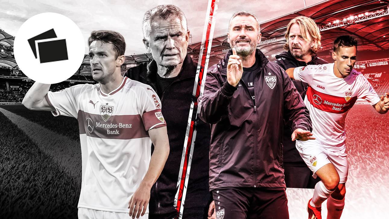 VfB Stuttgart im Teamcheck