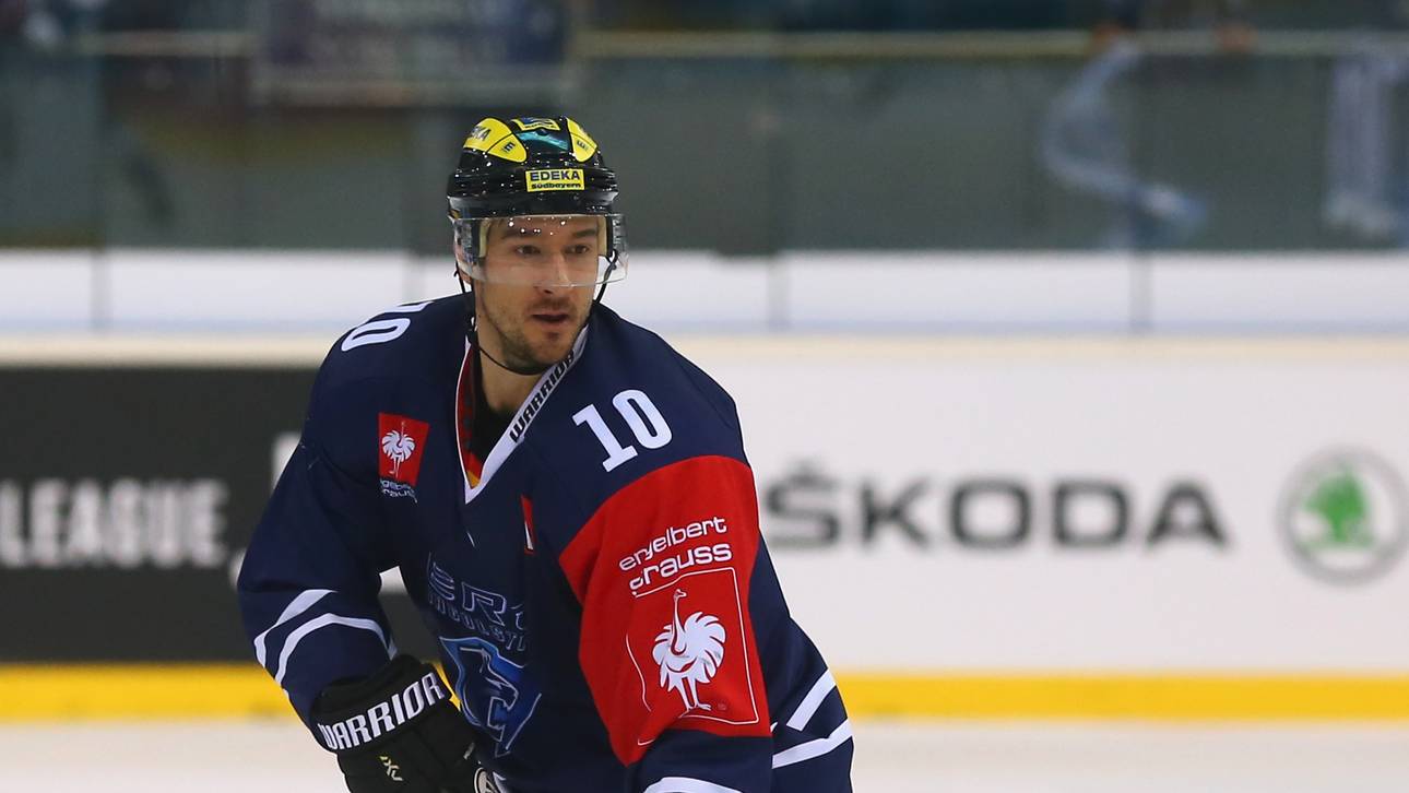 Krefeld Pinguine holen Szwez