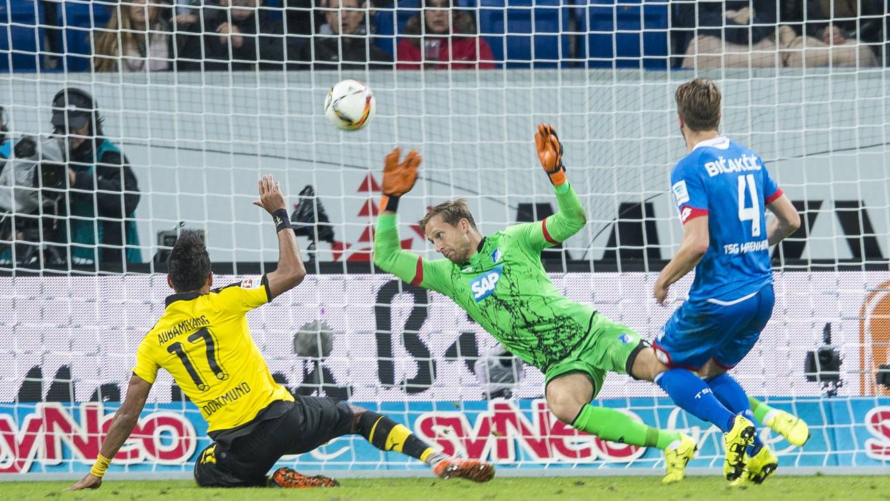 1899 Hoffenheim v Borussia Dortmund - Bundesliga