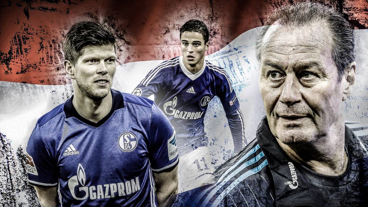 Am Donnerstag trifft Schalke 04 im Viertelfinale der UEFA Europa League auf Ajax Amsterdam (ab 19 Uhr LIVE im TV auf SPORT1). Königsblau hat mit Niederländern schon häufiger zu tun gehabt - zumindest im eigenen Team