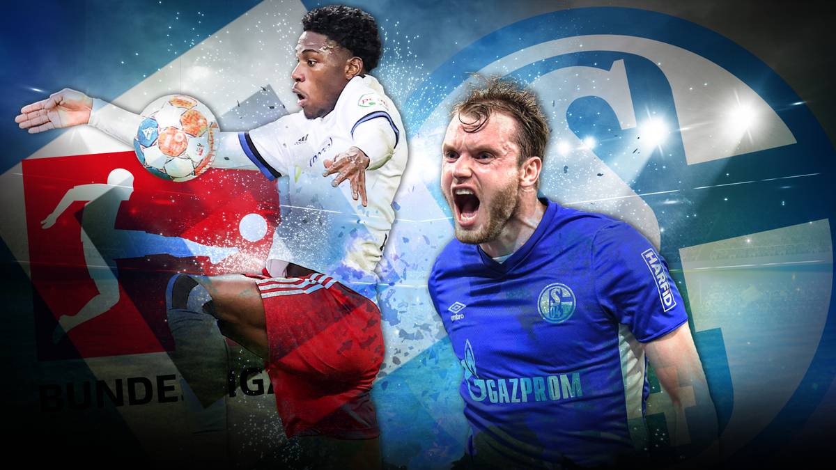 2nach10: Hamburger SV vs. FC Schalke 04: dieses Team ist reif für die Bundesliga