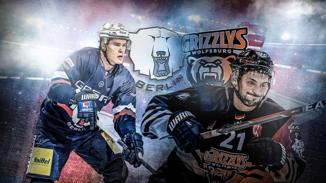 Grizzlys fordern Eisbären