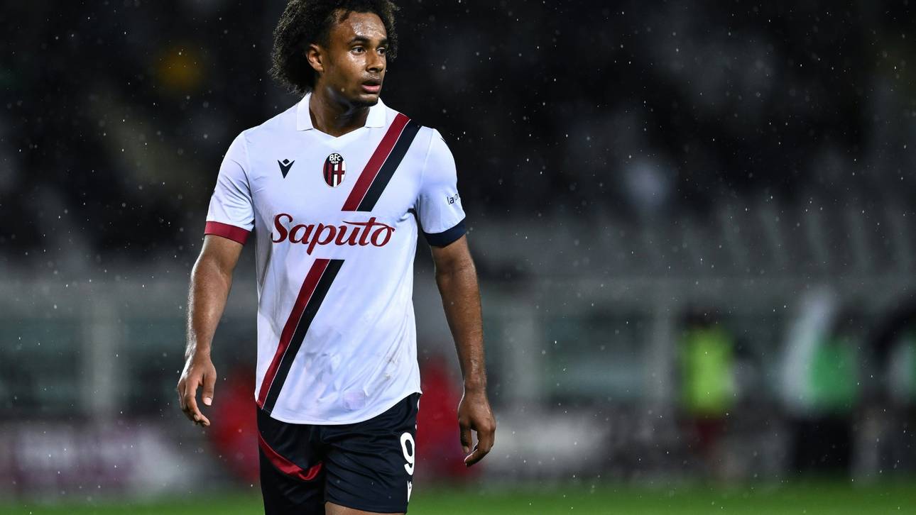 CL-Dämpfer für Zirkzee