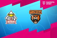 Pinguins Bremerhaven - Grizzlys Wolfsburg (Highlights)