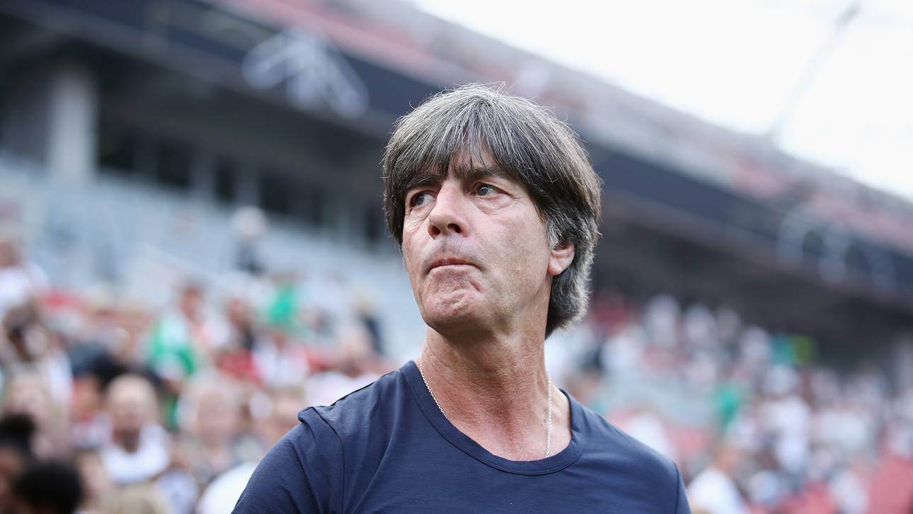 Löw: Jeder will Deutschland stürzen
