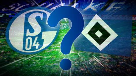 Zum Start in die Rückrunde muss der HSV zum Topspiel auf Schalke antreten. Das Team von Tim Walter unternimmt mittlerweile den sechsten Anlauf wieder ins Oberhaus zurückzukehren.