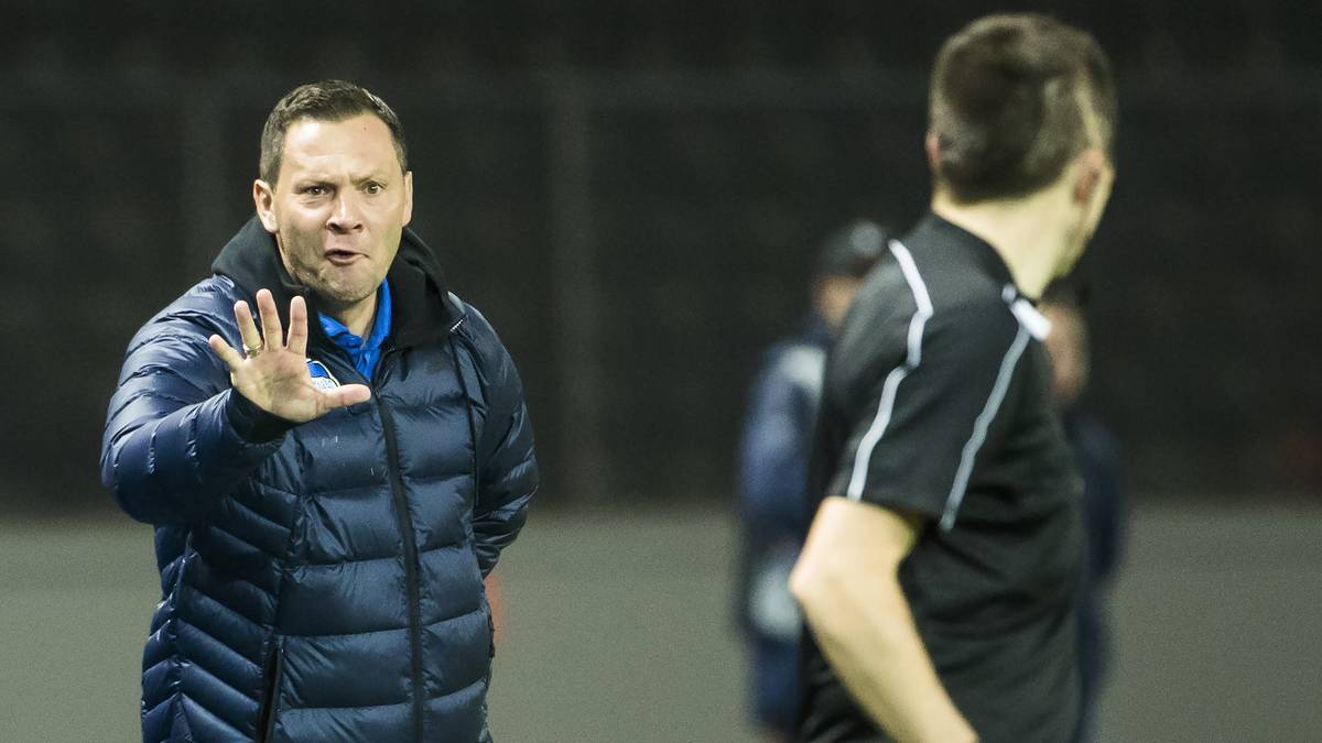 PLATZ 12 - PAL DARDAI (Hertha BSC): Der sympathische Ungar ist in der Hauptstadt unumstritten. Seit zweieinhalb Jahren schwingt Dardai das Zepter bei der Hertha, unter seiner Regie spielten die Berliner nach sieben Jahren wieder international, diese Spielzeit noch mit wechselhaften Ergebnissen 