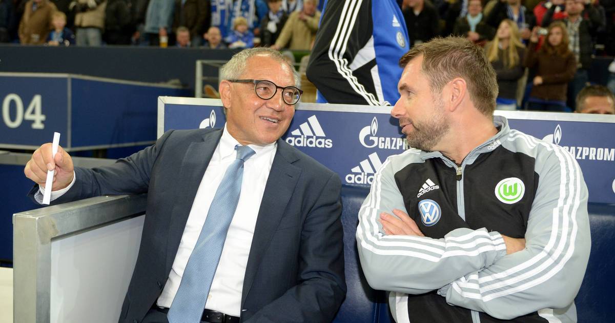 Hamburger SV: Magath schwärmt von Gisdol-Nachfolger Bernd Hollerbach