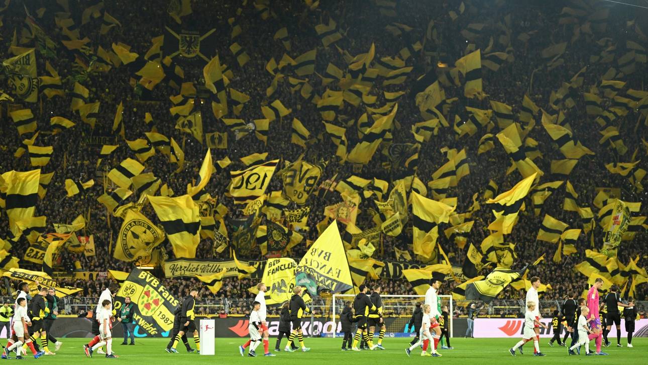 Sport-Höhepunkt am 7. November