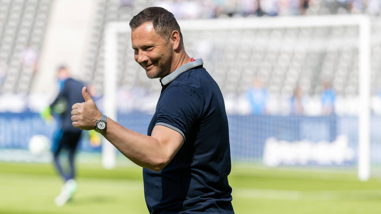 Dardai: So wird die neue Hertha
