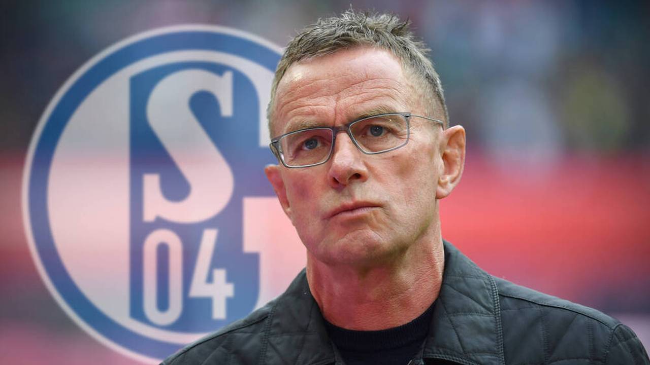 Newsflash: Ralf Rangnick sagt FC Schalke 04 ab und wird nicht Sportvorstand