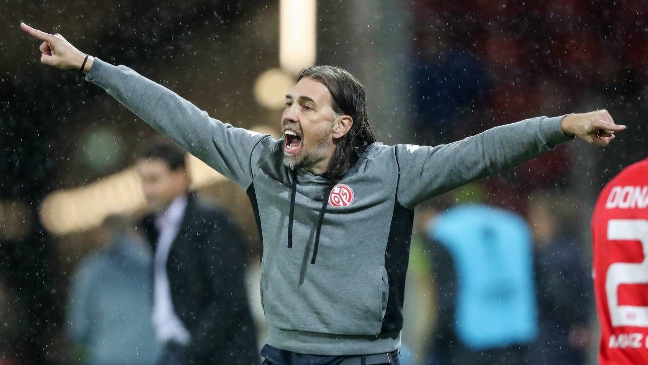 Stimmen: Schmidt schlägt Alarm