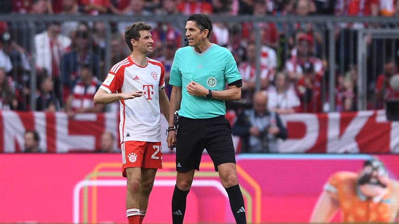 Fans wählen besten Schiedsrichter